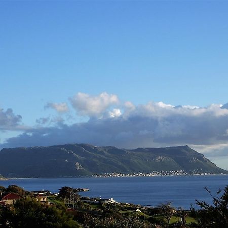 Restio Garden Studio Simonʼs Town Εξωτερικό φωτογραφία