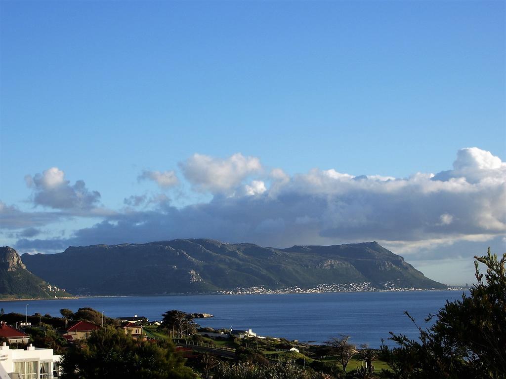 Restio Garden Studio Simonʼs Town Εξωτερικό φωτογραφία