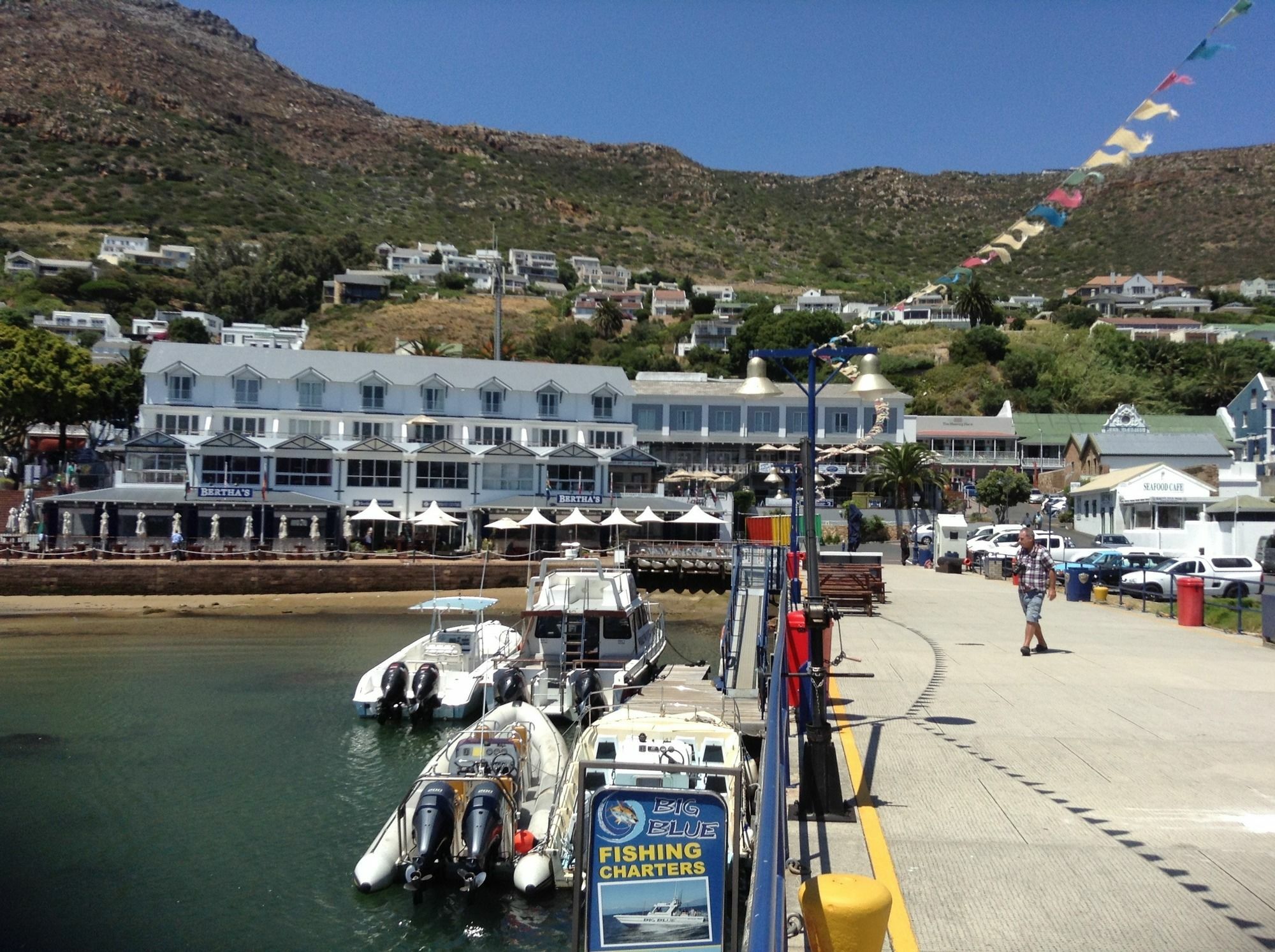 Restio Garden Studio Simonʼs Town Εξωτερικό φωτογραφία