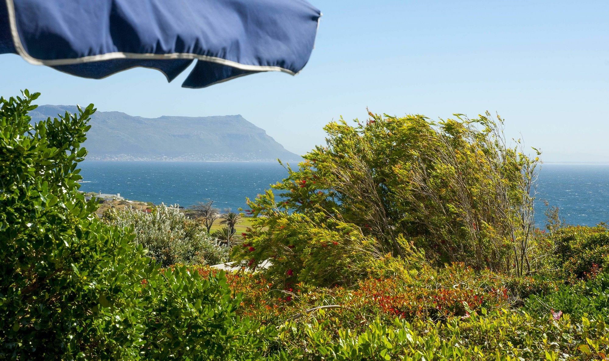 Restio Garden Studio Simonʼs Town Εξωτερικό φωτογραφία