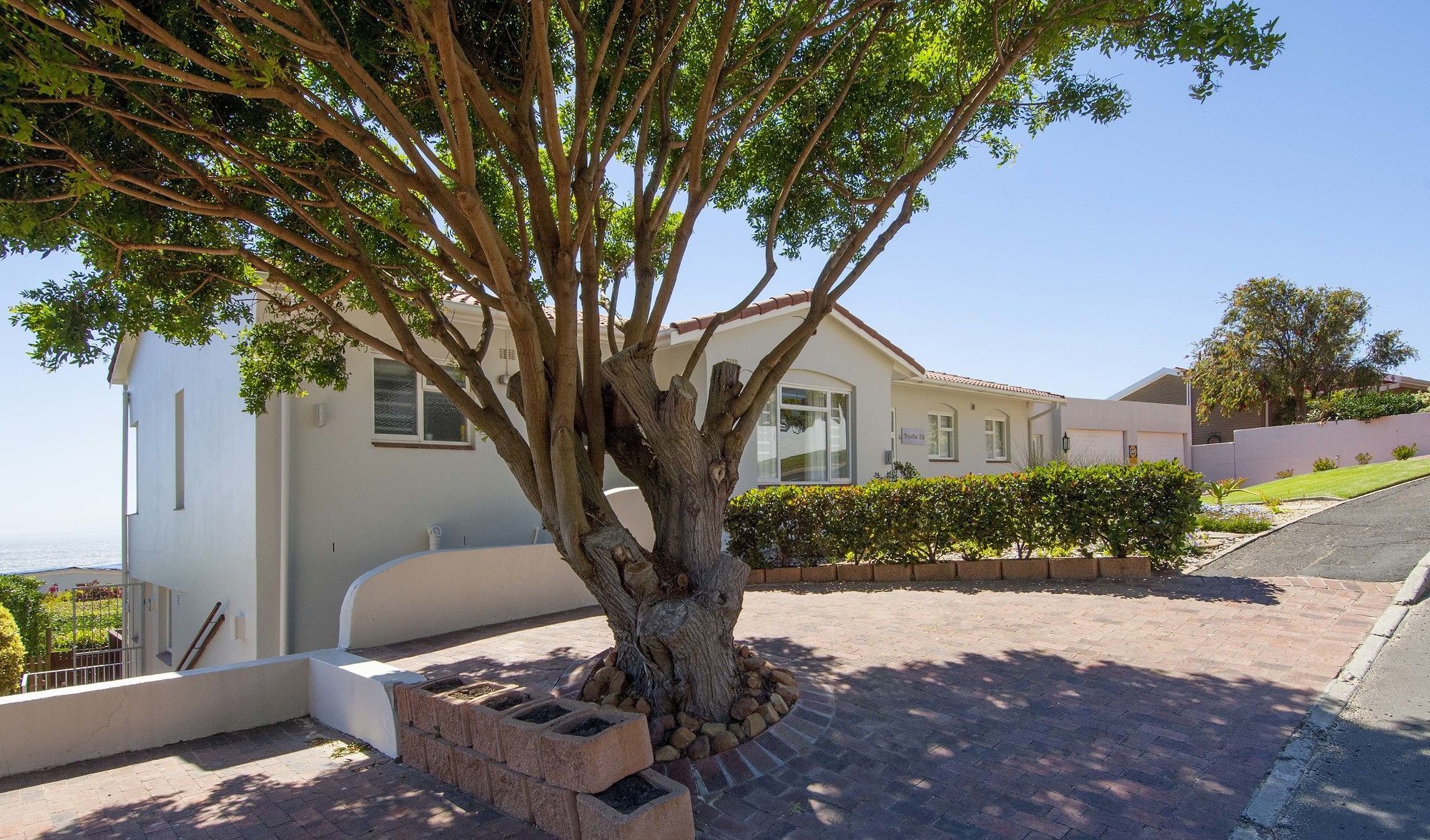 Restio Garden Studio Simonʼs Town Εξωτερικό φωτογραφία
